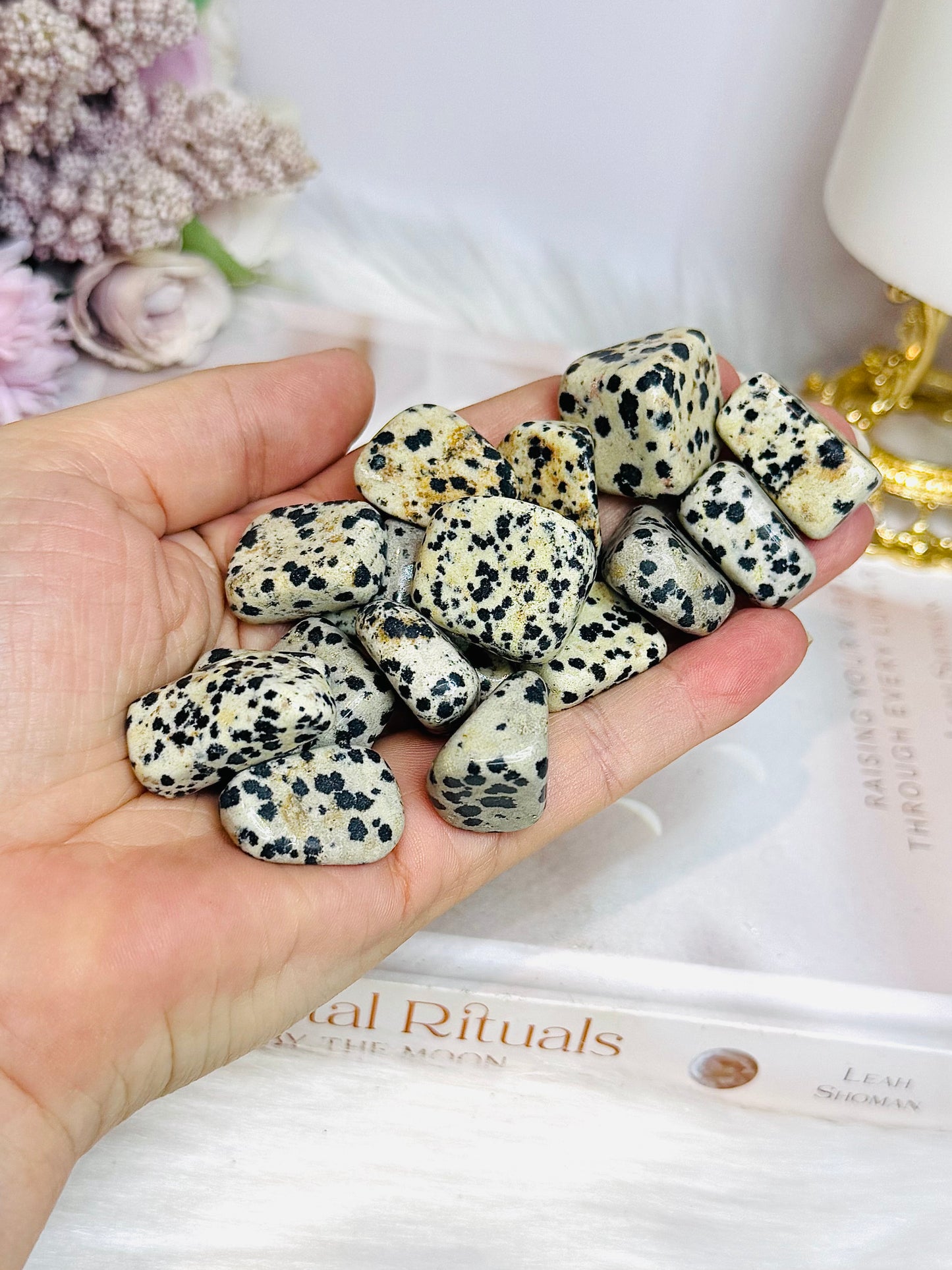 Dalmatian Jasper Tumbles $2 each