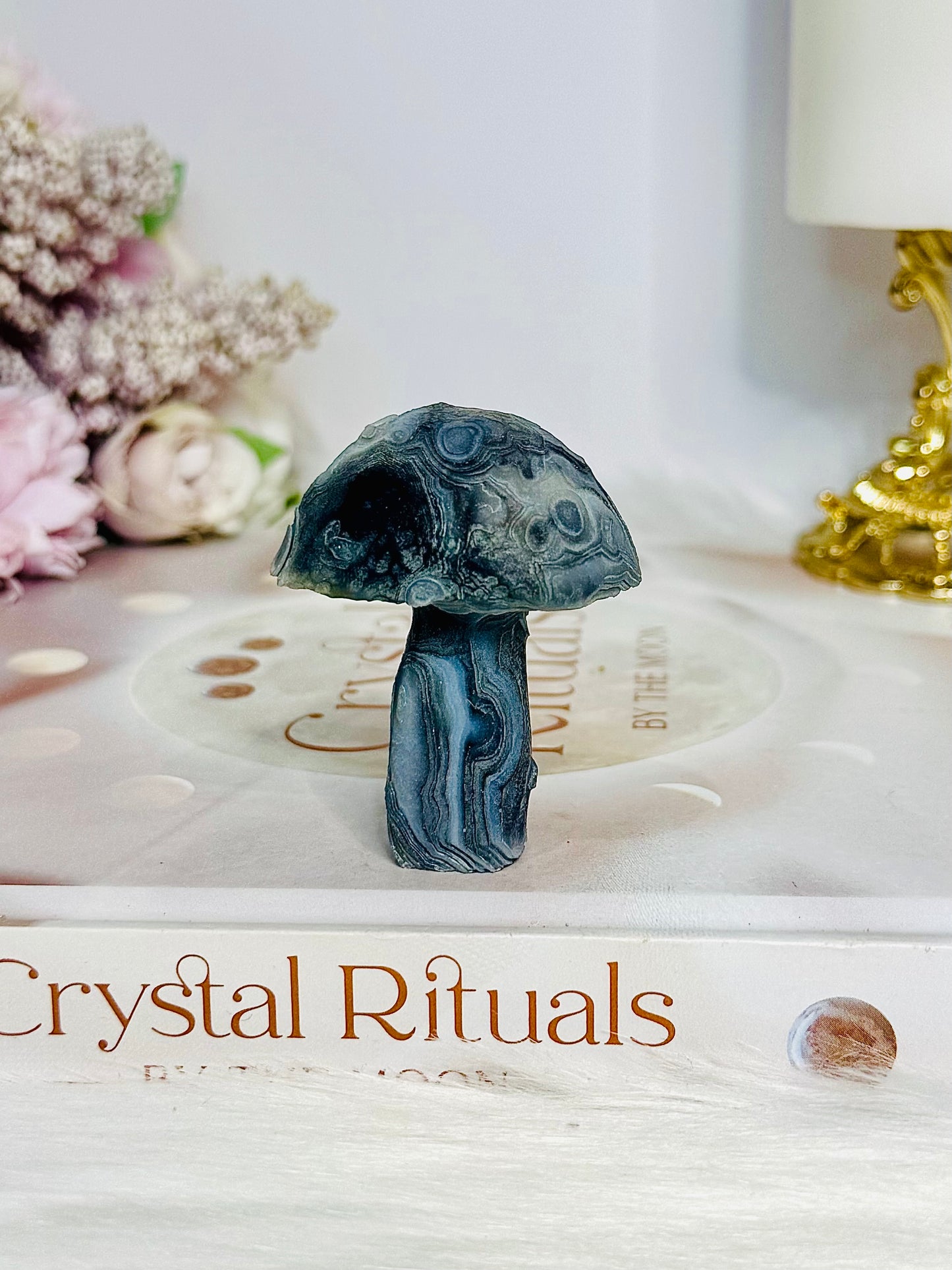 Rare Gobi Agate Carved Mushroom 5cm