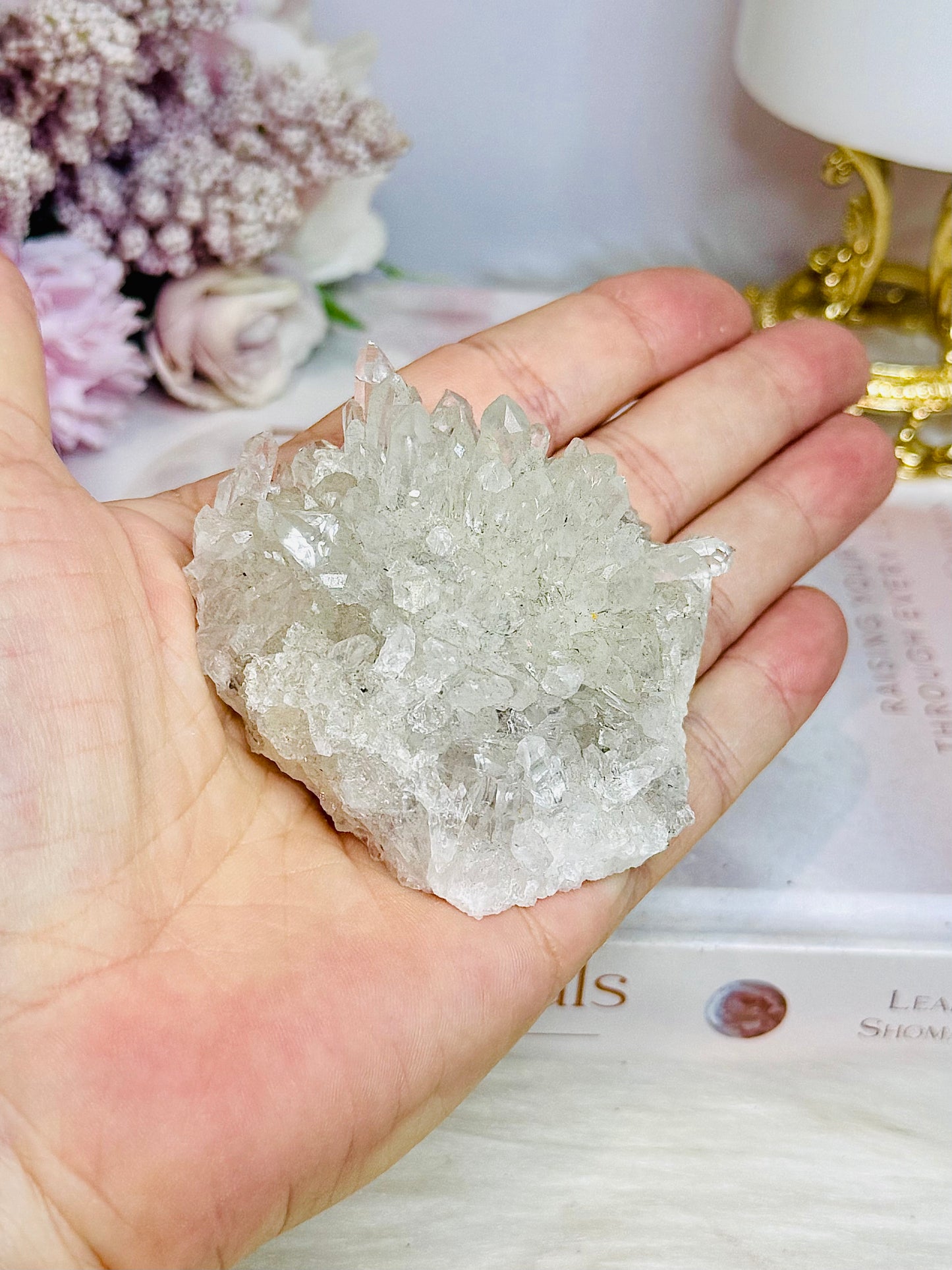 Natural Chrysanthemum Specimen 7cm