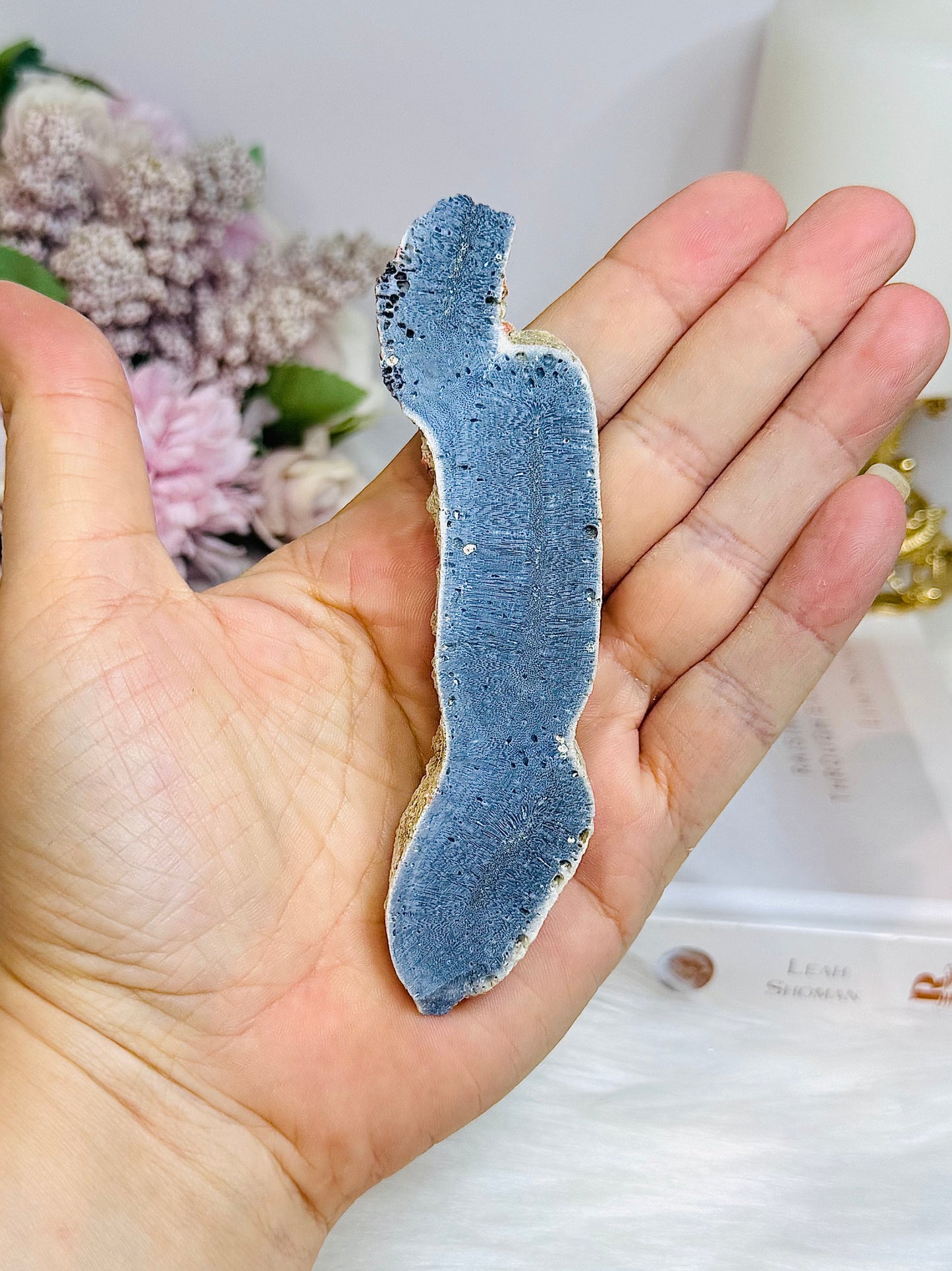 Blue Coral Fossil Specimen 11.5cm