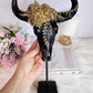 Large 33cm Black & Gold Cow Skull On Stand