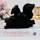 A Protective Stone ~ Perfectly Carved Black Tourmaline Squirrel 368grams