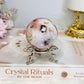 High Grade Flower Agate Sphere On Stand 195g