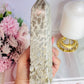 Natural Large Fossil Coral Tower 17.5cm