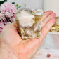 Soft Energy ~ Stunning 220gram Perfect Flower Agate Freeform From Madagascar