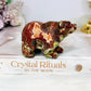 Money Agate Carved Bear 8cm