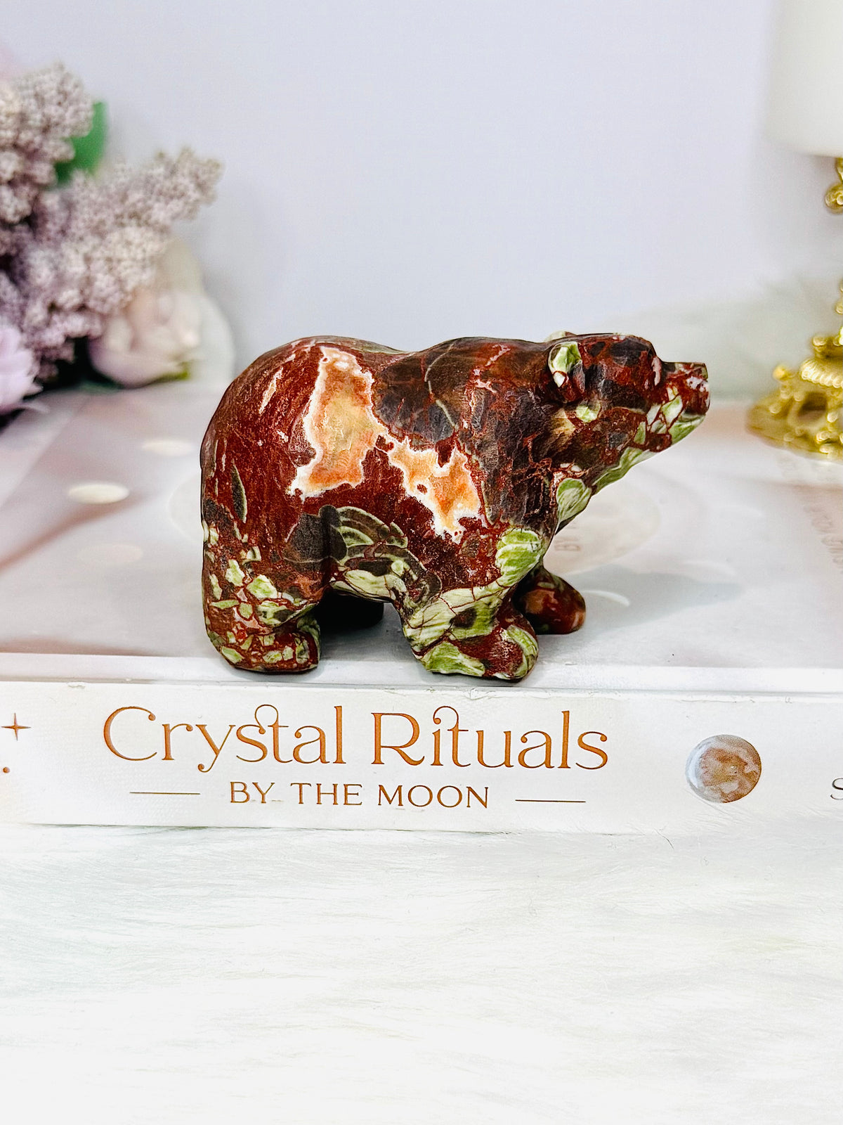 Money Agate Carved Bear 8cm
