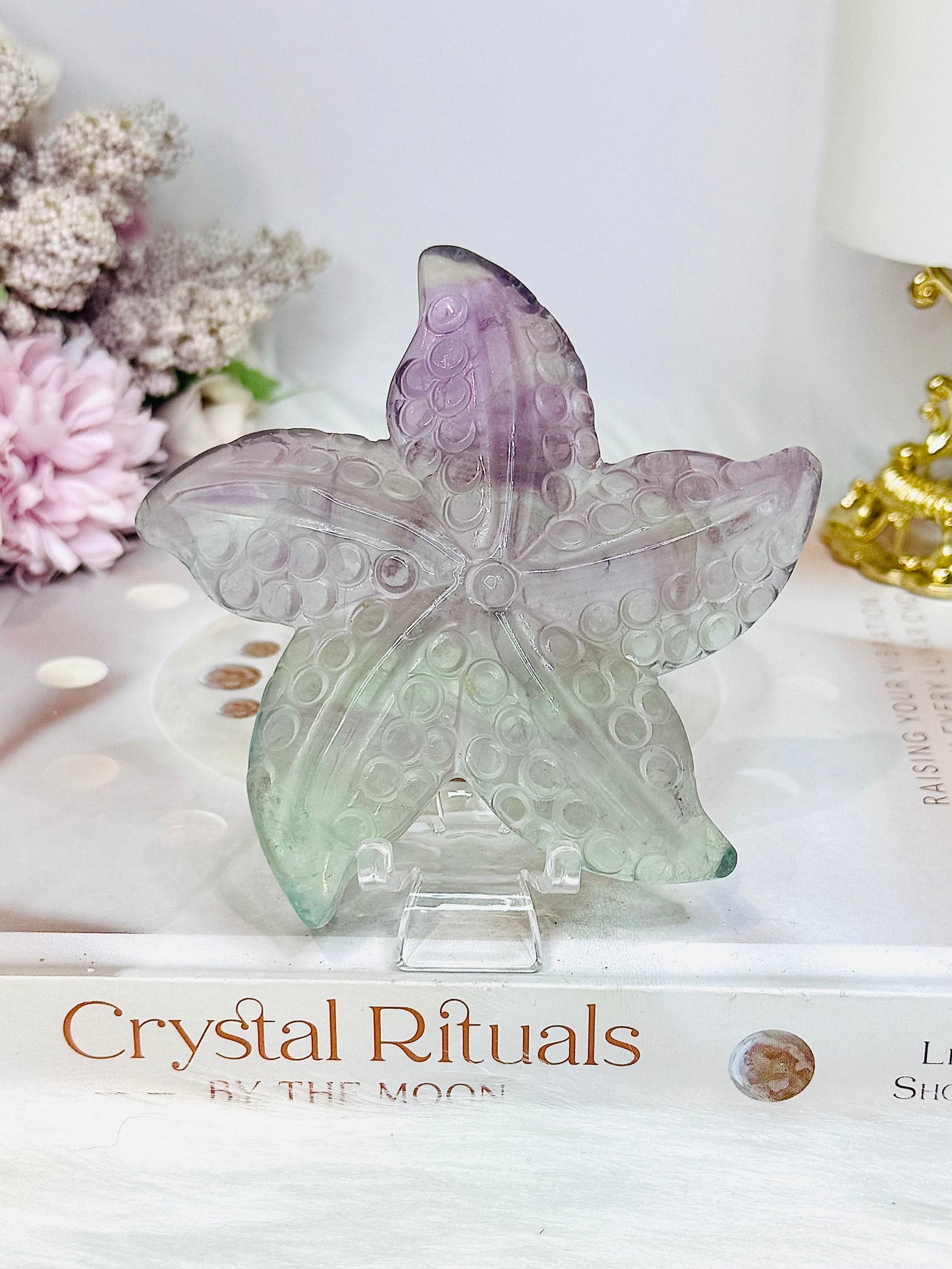 Fluorite Star Fish On Stand 9cm