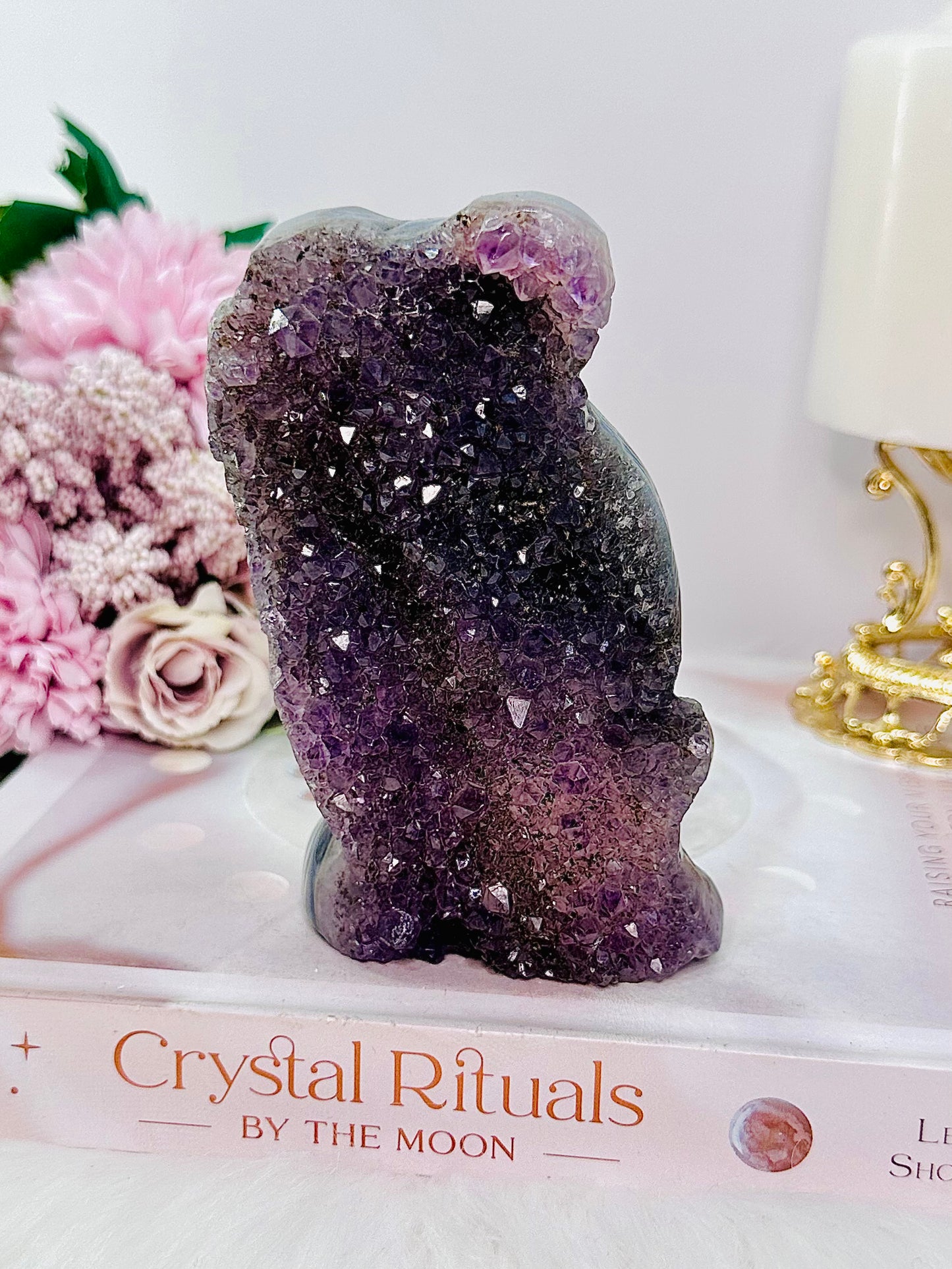 Stunning Perfectly Carved Druzy Agate Amethyst Koala 12cm 397grams With Full Amethyst Cluster At Back