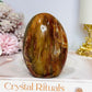 Petrified Wood Chunky Freeform 8.5cm
