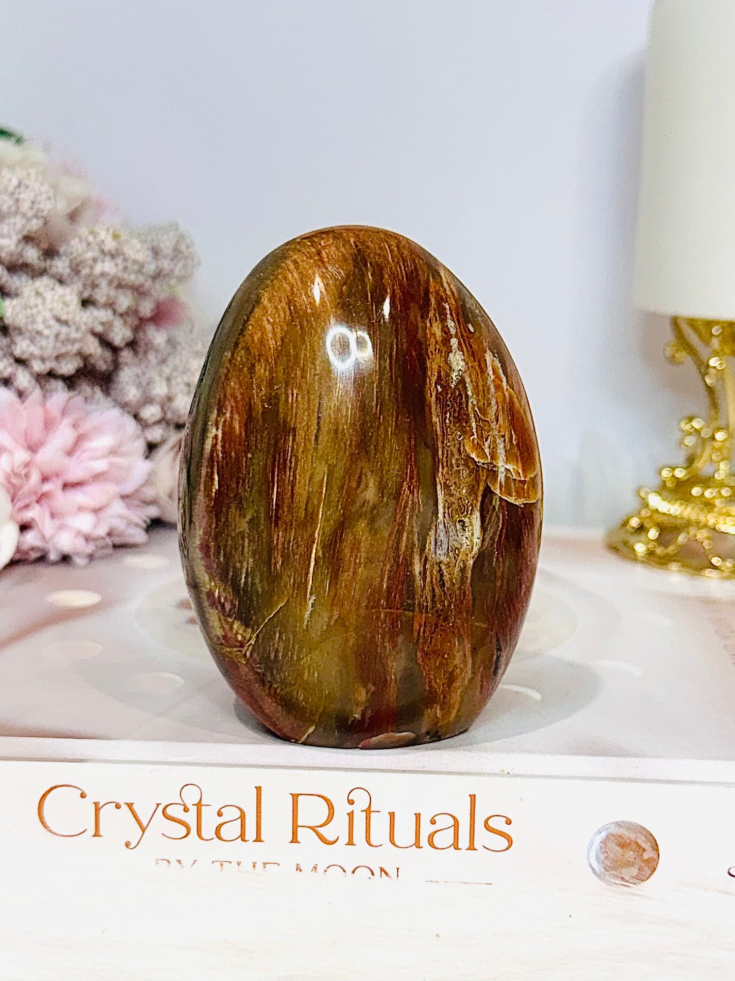 Petrified Wood Chunky Freeform 8.5cm