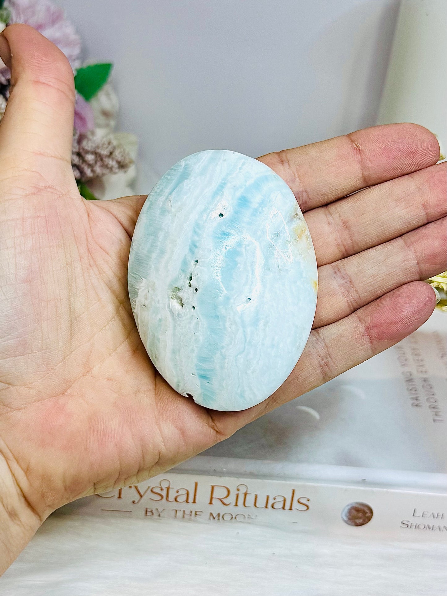 Large Caribbean Calcite Palm Stone