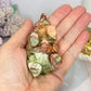 Money Agate Carved Bear 8cm