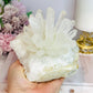 Large Clear Quartz Pineapple Lamp on Light Stand 810g