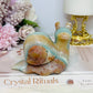 Caribbean Calcite Carved Snail 332g