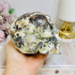 Large Money Agate Druzy Skull 751g