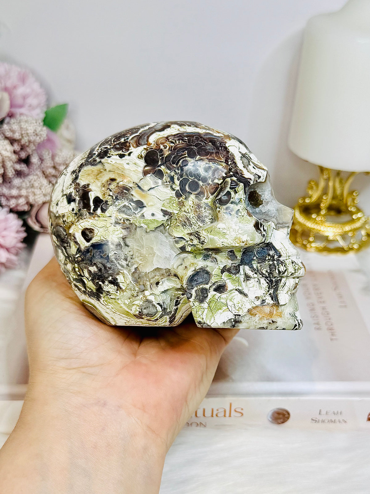 Large Money Agate Druzy Skull 751g