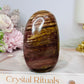 Petrified Wood Freeform 9cm 304g