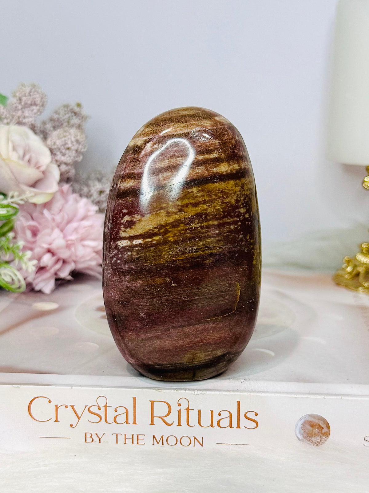 Petrified Wood Freeform 9cm 304g