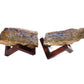 Natural Opal Boulder Roughs Pair 2 Pieces 5.6KG