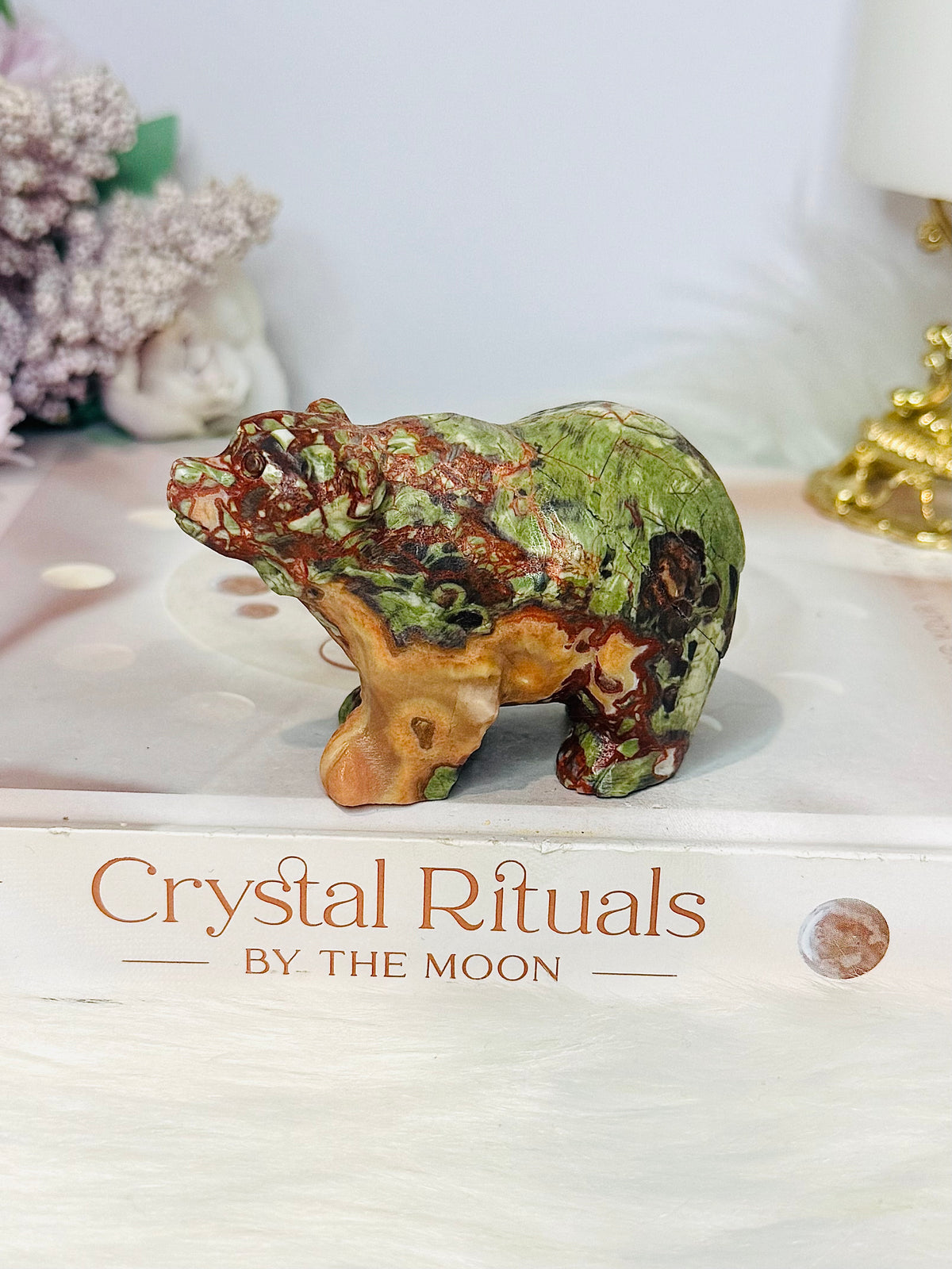 Money Agate Carved Bear 8cm