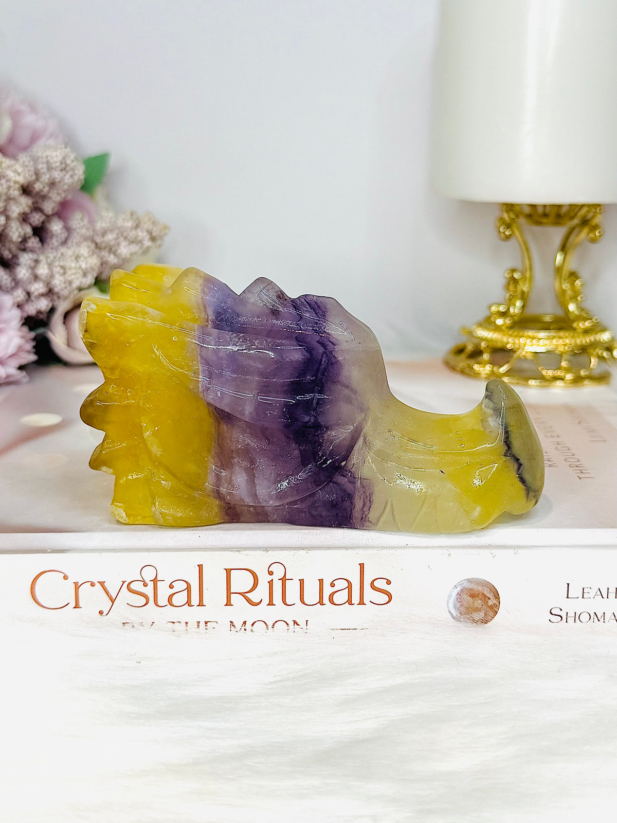 Fluorite Carved Dragon 10.5cm