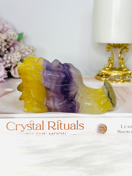 Fluorite Carved Dragon 10.5cm