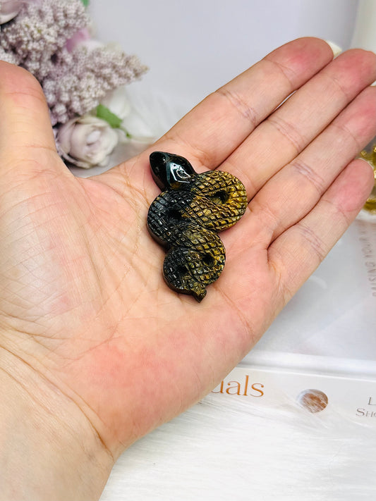 Tigers Eye Snake 5cm