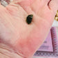 Out Of This World!!! Incredible Natural Rare Moldavite Tektite 1.2grams with Certificate of Authenticity