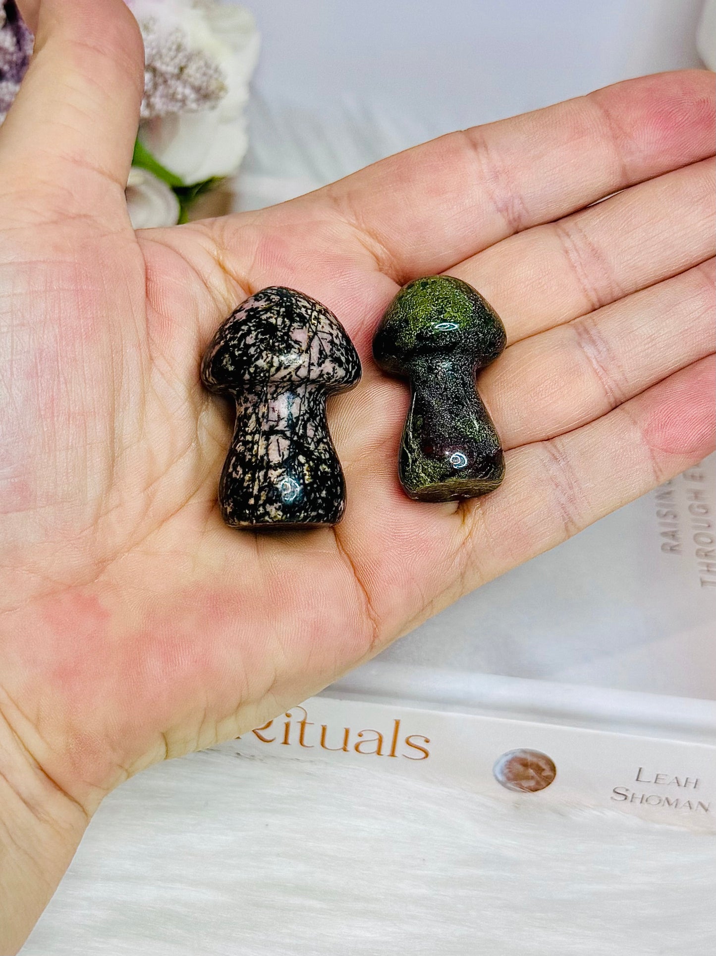 Set of 2 Mushrooms ~ Rhodonite & Dragons Blood