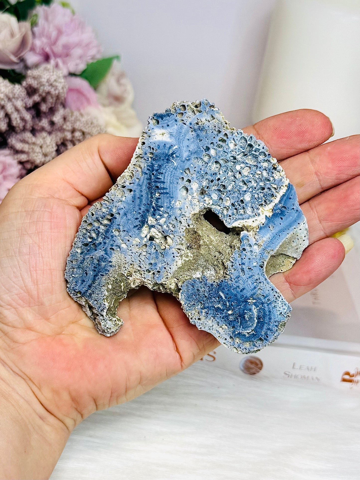 Natural Blue Coral Fossil Specimen 9cm