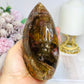 Large Petrified Wood Freeform 13cm 720g