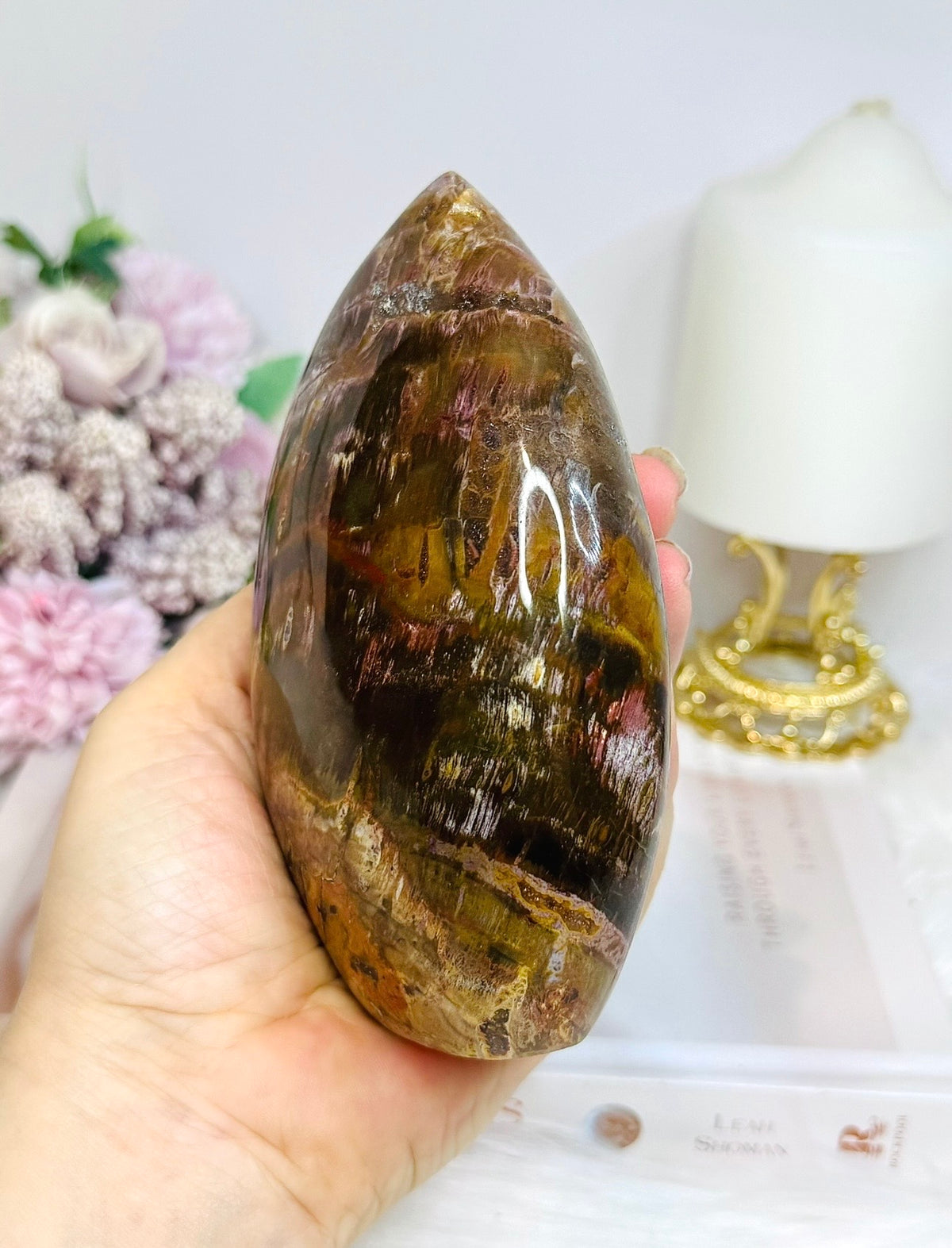 Large Petrified Wood Freeform 13cm 720g