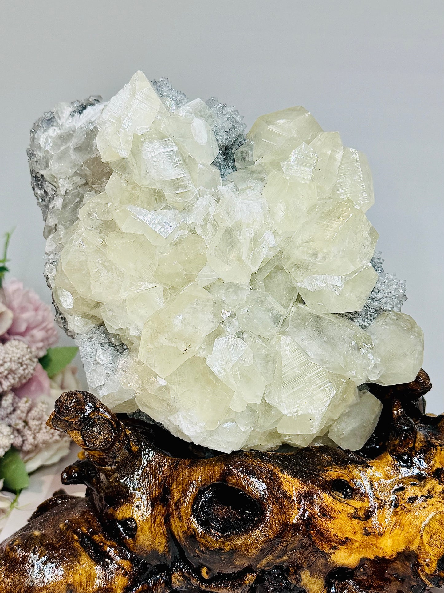 Huge Calcite Freeform on Timber Stand 1.9KG