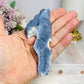 Blue Coral Fossil Slab Specimen 10.5cm