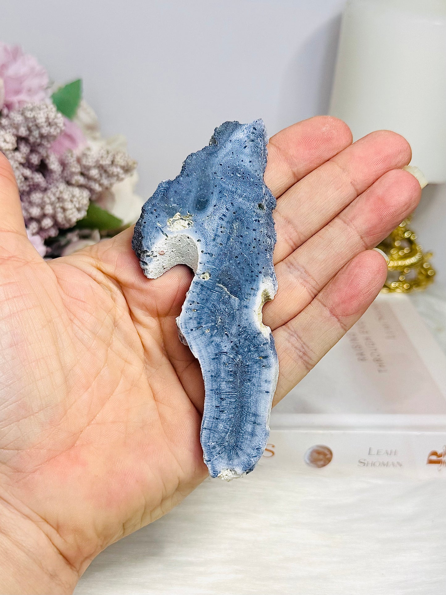 Blue Coral Fossil Slab Specimen 10.5cm