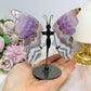 Crazy Lace Amethyst Wings on Stand 12cm