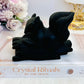 A Protective Stone ~ Perfectly Carved Black Tourmaline Squirrel 368grams