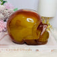 Huge Carnelian Carved Druzy Skull 2.15KG