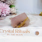 Natural Rose Quartz Freeform with Fern Tree Dentrictic Inclusions 5.5cm