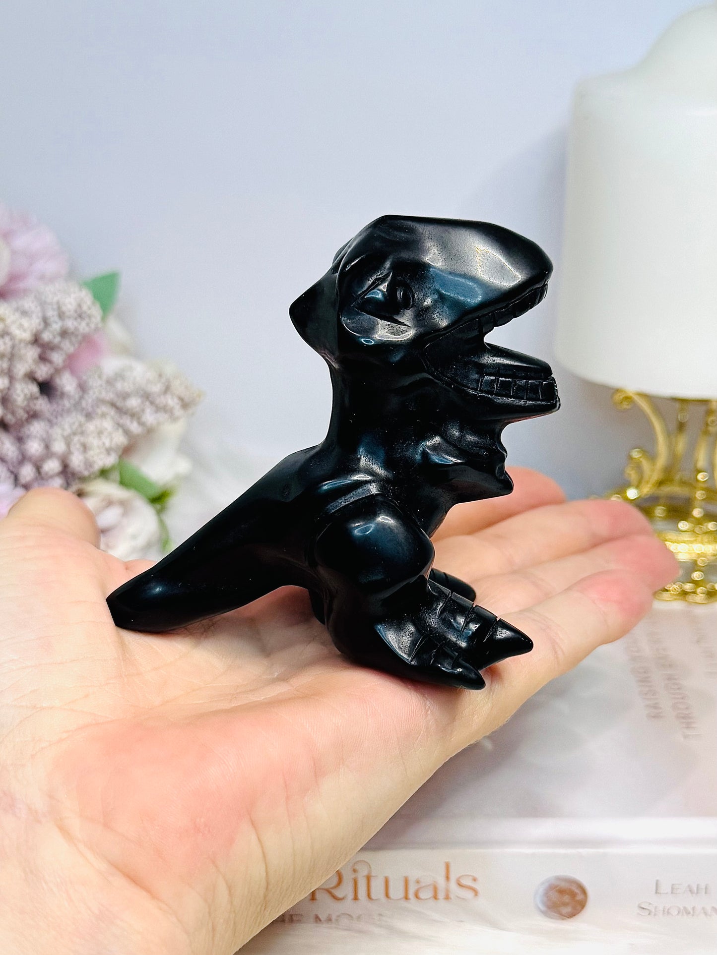 Black Obsidian Dinosaur 8cm