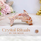 Crazy Lace Agate Carved Dolphin 7cm