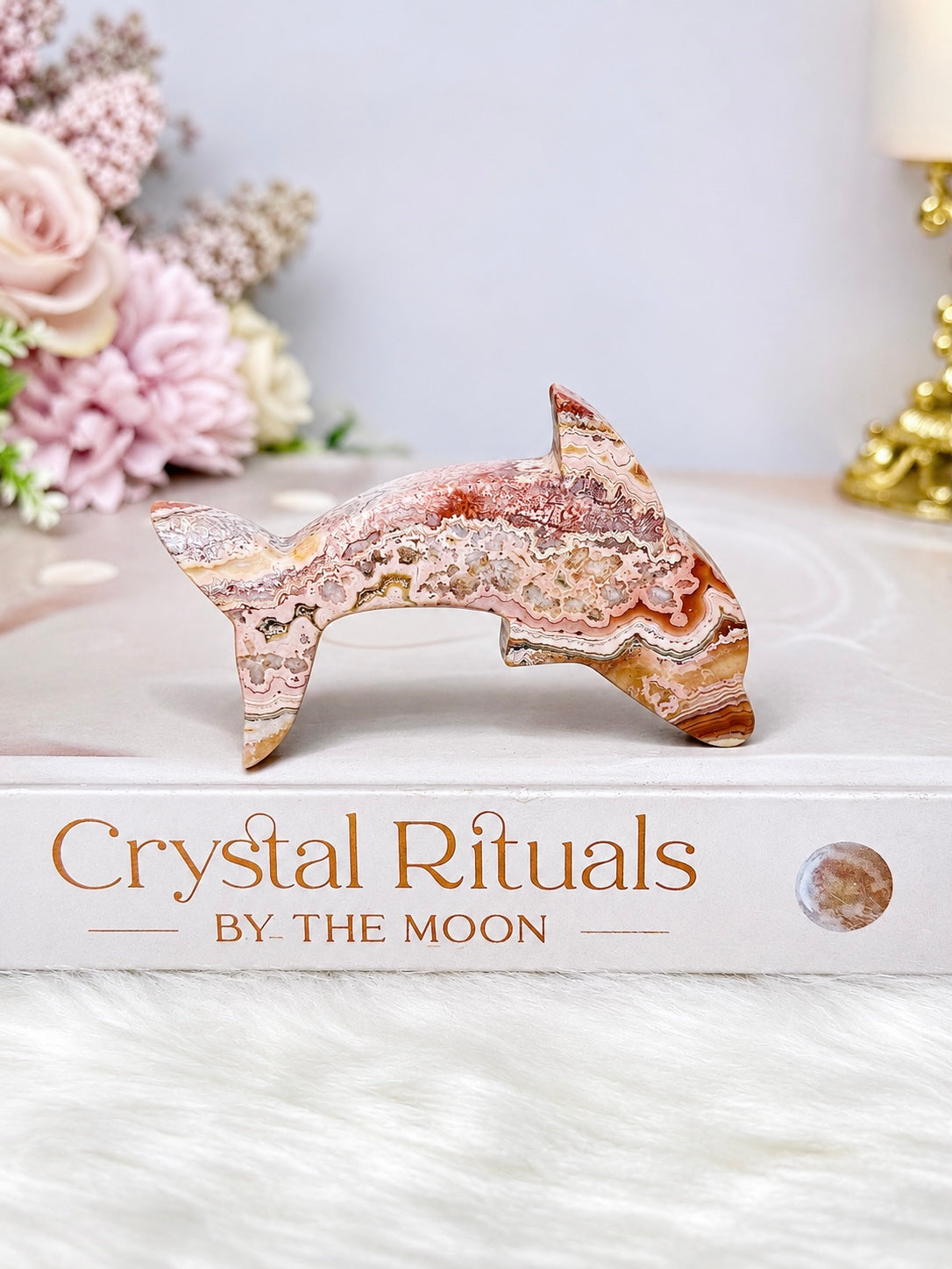Crazy Lace Agate Carved Dolphin 7cm