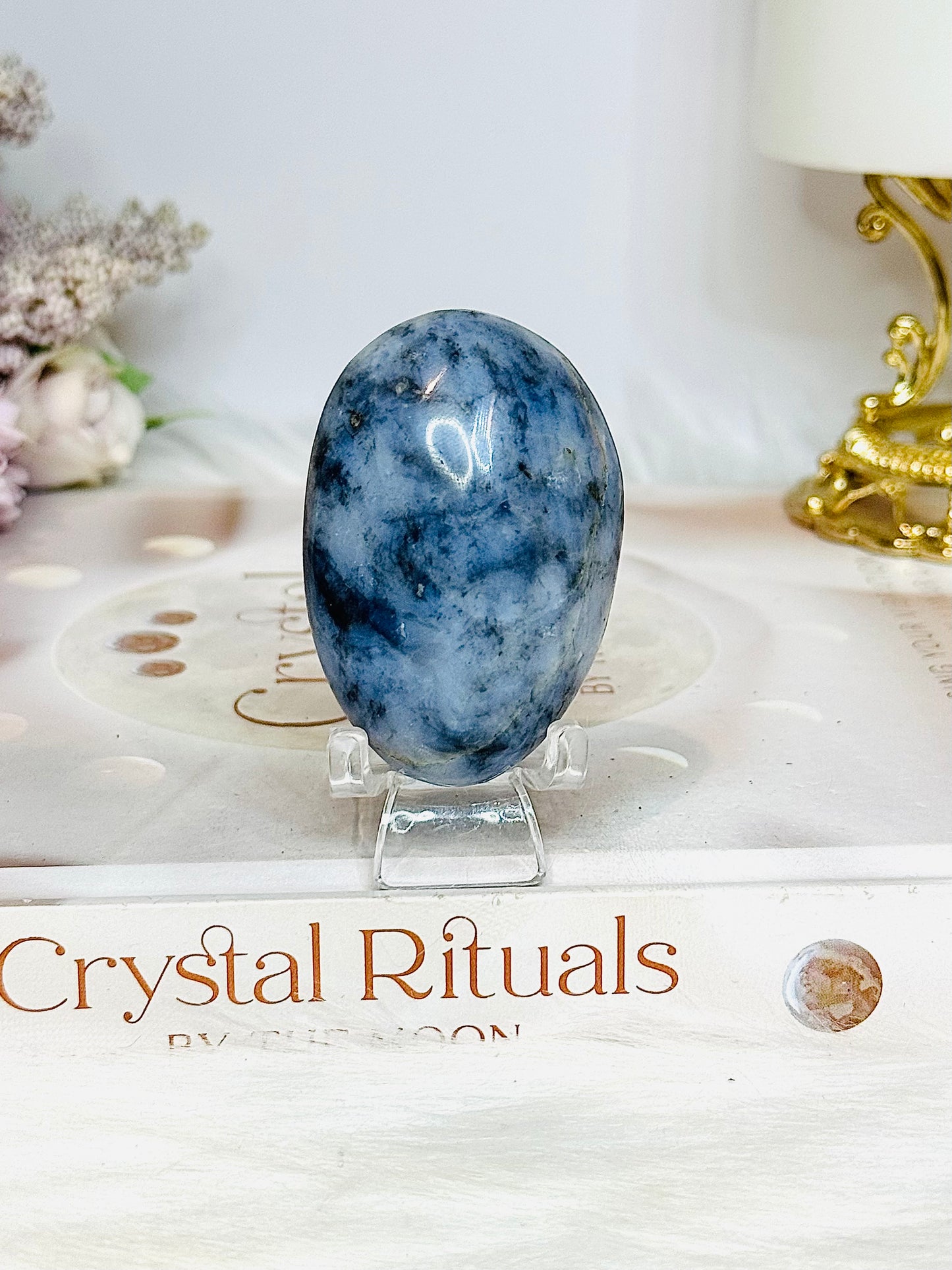 Blue Owyhee Opal Palm Stone (stand is display only)