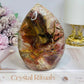Large Petrified Wood Freeform 13cm 692g