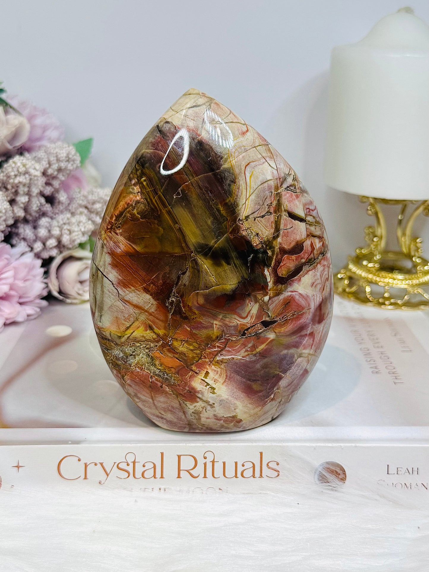 Large Petrified Wood Freeform 13cm 692g
