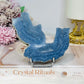 Blue Coral Fossil Specimen Slab on Stand 11.5cm