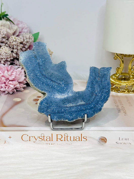 Blue Coral Fossil Specimen Slab on Stand 11.5cm