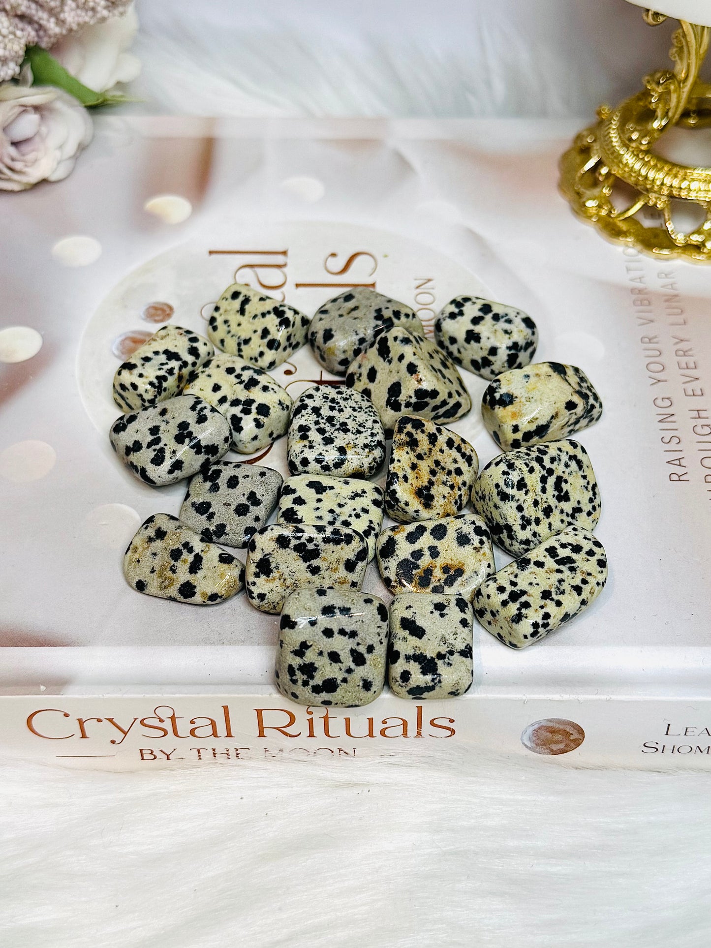 Dalmatian Jasper Tumbles $2 each