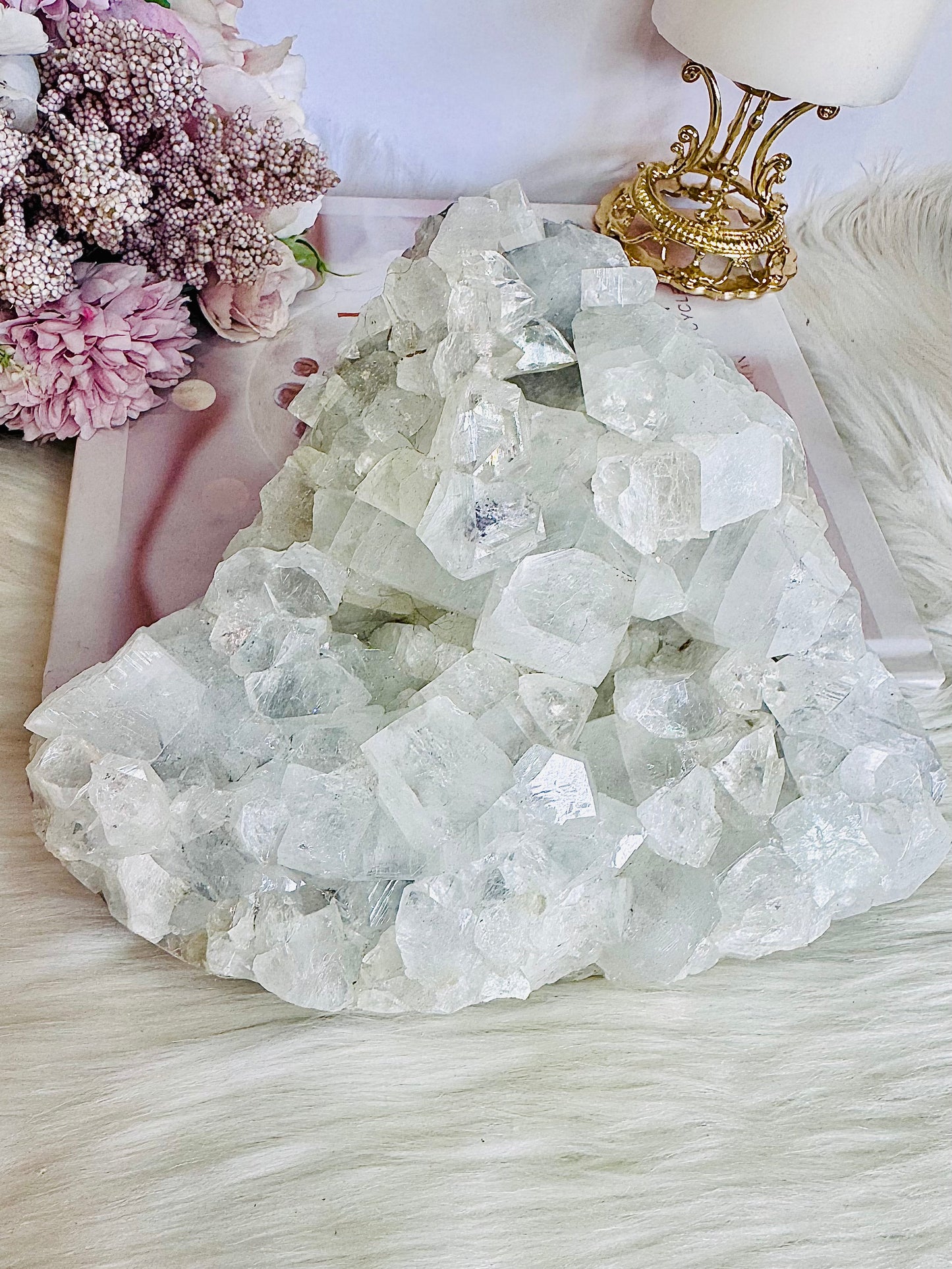 ⚜️ SALE ⚜️ Collectors Piece ~ High Grade Huge Natural White Apophyllite Cluster 1.79KG